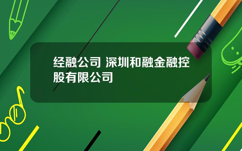 经融公司 深圳和融金融控股有限公司